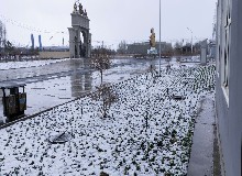皑皑春雪，美丽冻人！