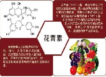 天然“防腐剂”，清除自由基，貌美更年轻！
