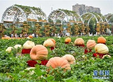 东鳌参加全国百户企业进吉林活动&来农博会东鳌鹿业展位“淘宝”啦！