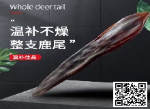 男人爱吃的鹿尾巴女人能吃吗？怎么吃？