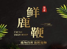 如何挑选好鹿鞭？鹿鞭人参酒的自制方法